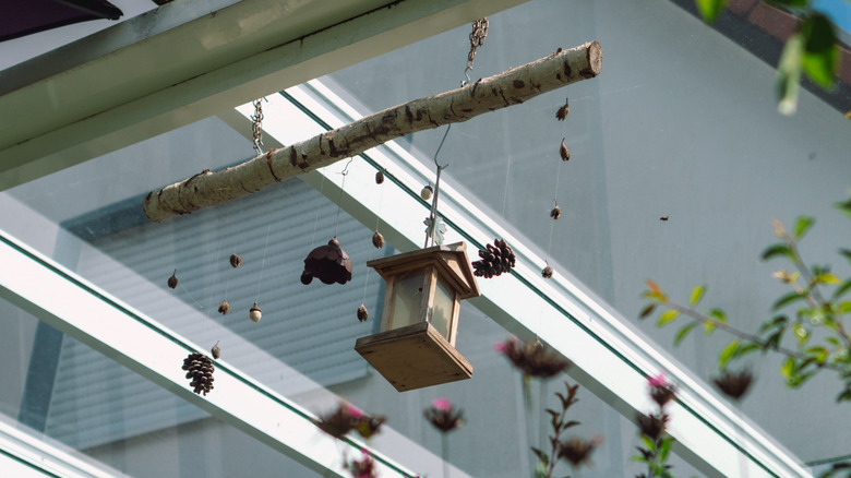 a birch branch wind chime with acorns