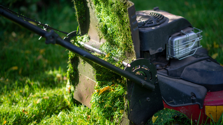 A lawn mower clogged with grass
