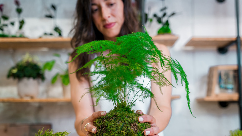 Woman holds kokedama moss-wrapped soil plant