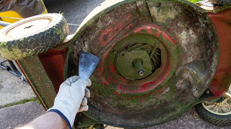 Person scraping grass off the underside of a lawn mower deck