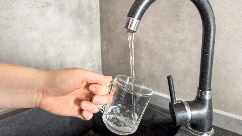 Hand filling up a glass of water from kitchen sink