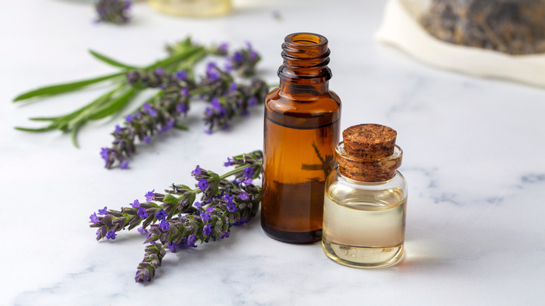 bottles of lavender essential oil