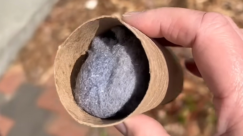A hand holding a tick tube stuffed with cotton