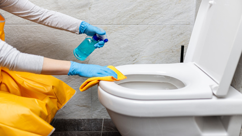 A person wearing gloves cleans a toilet with Windex