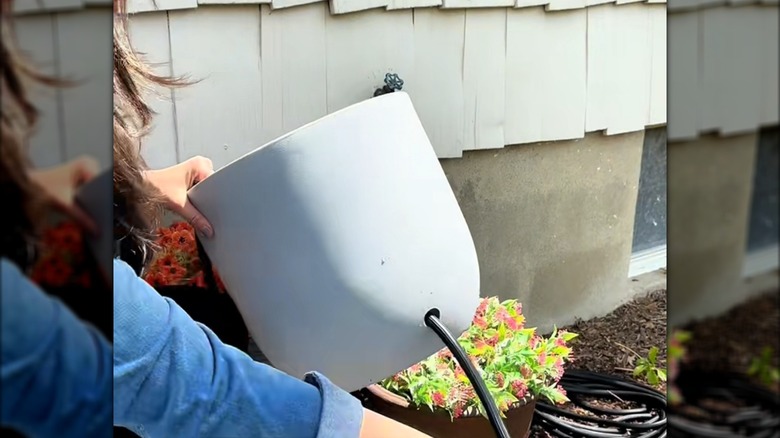 a woman holds a pot with a hole and hose in it