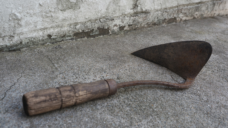 HoMi, a traditional Korean gardening hoe.