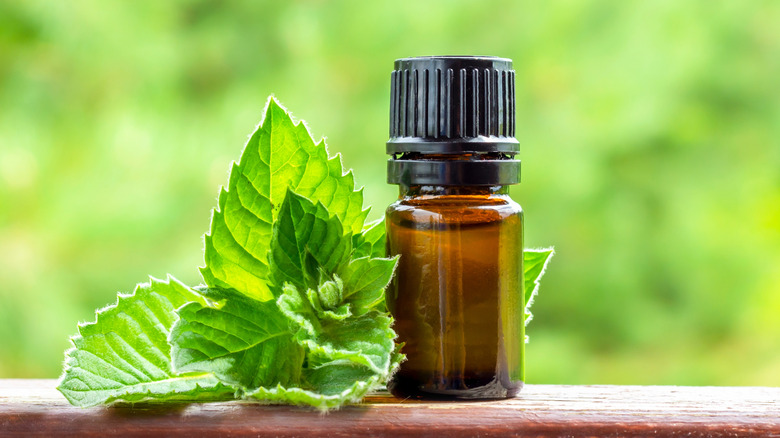 peppermint essential oil in a brown glass bottle with peppermint leaves next to it