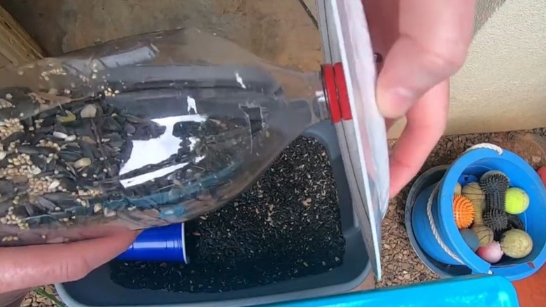 DIY bird feeder made from old two-liter soda bottle
