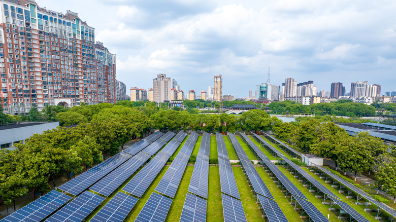 Apartment buildings in a city skyline overlook a large solar farm.