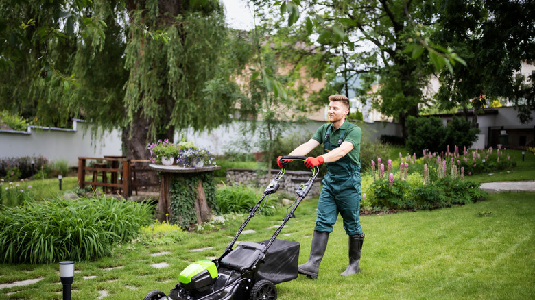 A man mowing a lawn bordering a cottage garden.