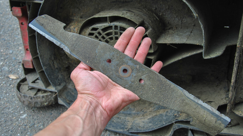 Person holding a lawn mower blade,