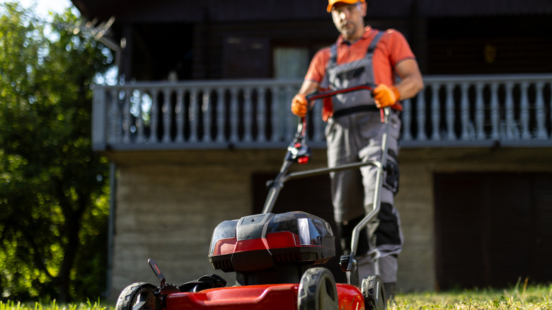 A man cutting grass with a red push lawn mower.