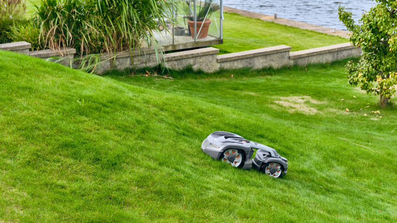 Autonomous robotic lawn mower working on a grassy hill