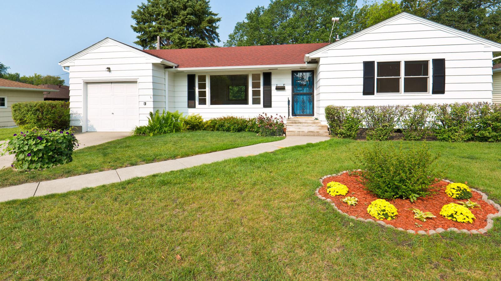How Long It Actually Takes To Repair A Lawn After A Pest Infestation