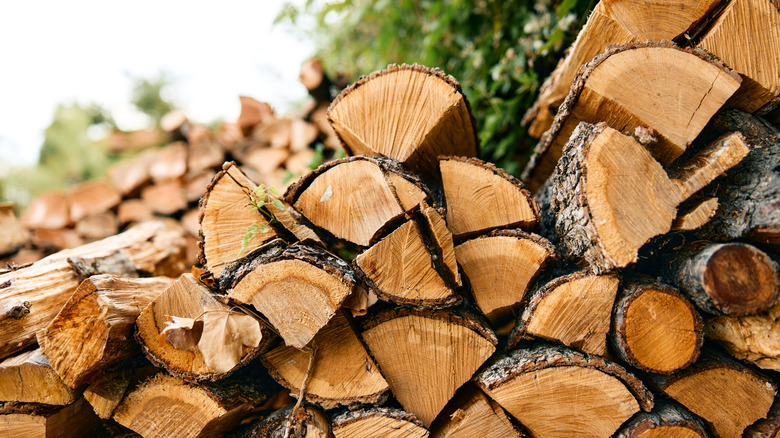 exterior stack of cut firewood