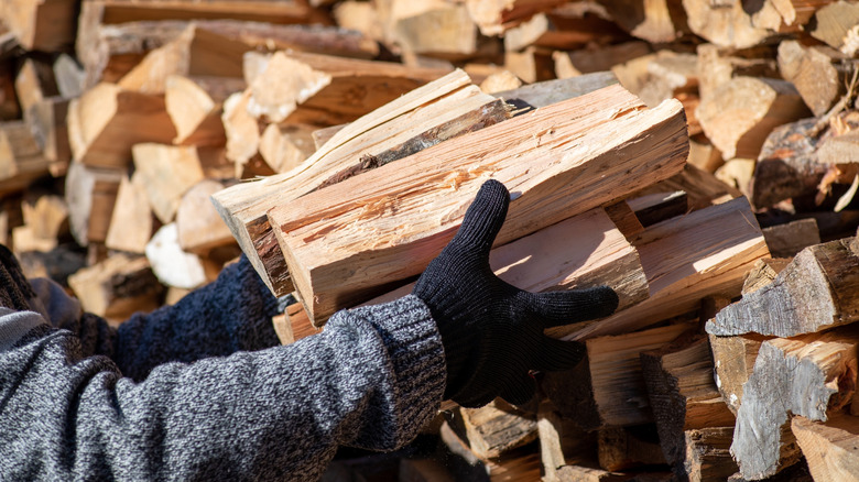 Person stacking firewood