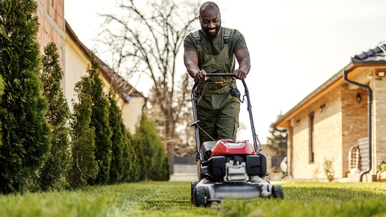 Person mowing lawn with walk-behind rotary mower
