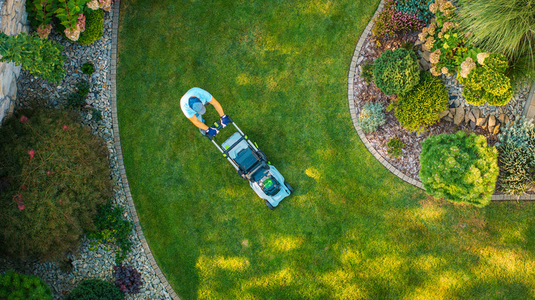 Bird's-eye view person walks behind a lawn mower on green grass