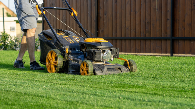 A person walks behind a lawn mower atop bright green grass