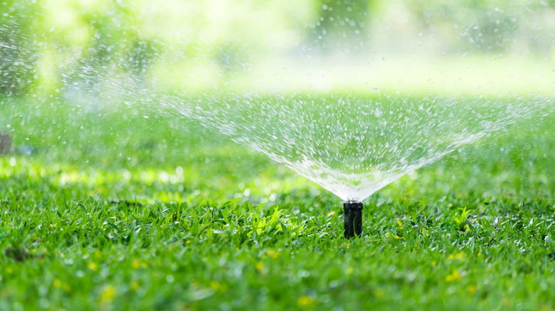 Irrigation sprinkler