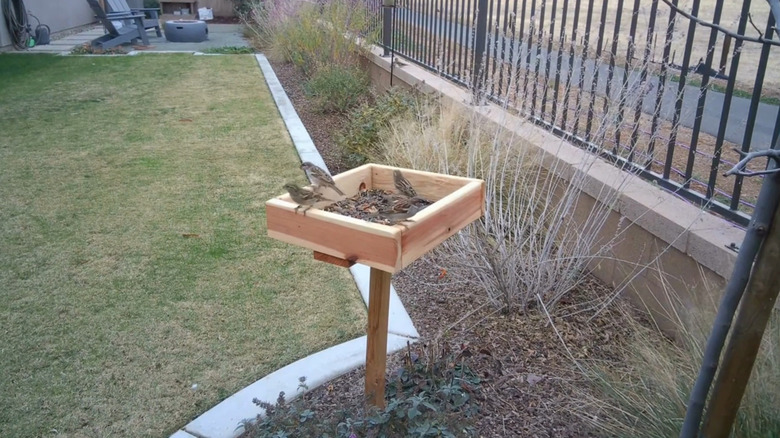 Platform bird feeder built out of scrap wood