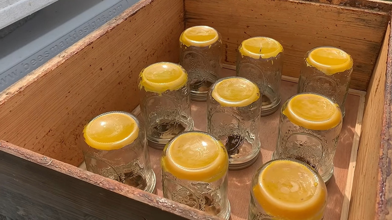 Mason jars turned upside down over a beehive