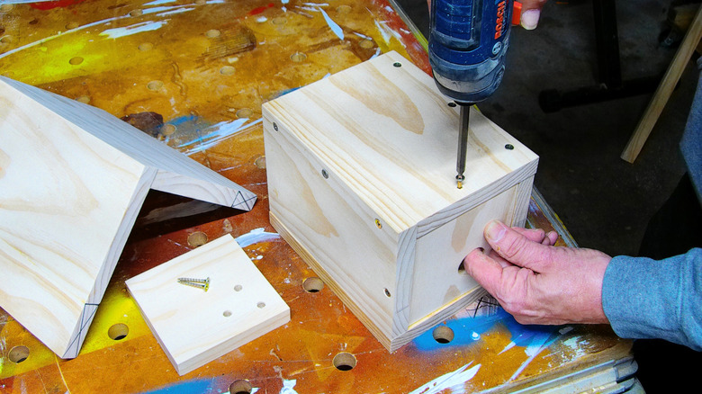 Assembling a birdhouse with coated exterior screws.