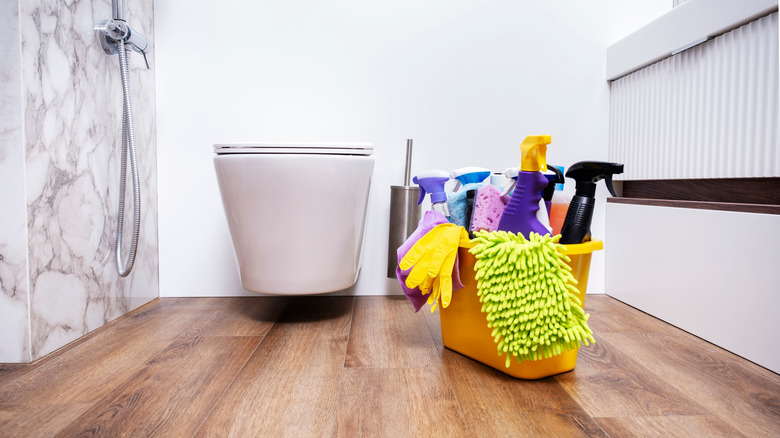 cleaning supplies by the toilet in a bathroom