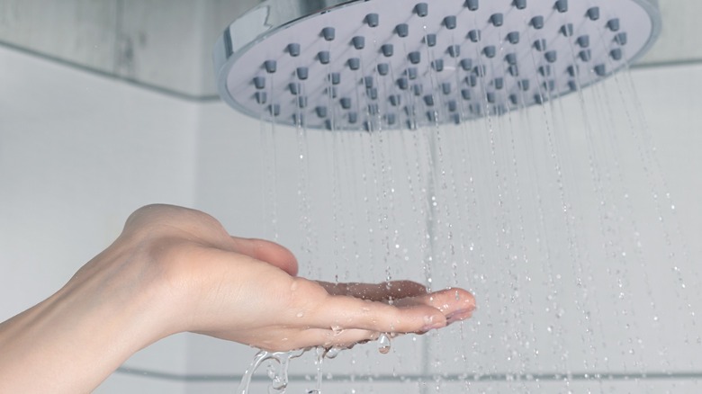 Person testing water coming from large shower head