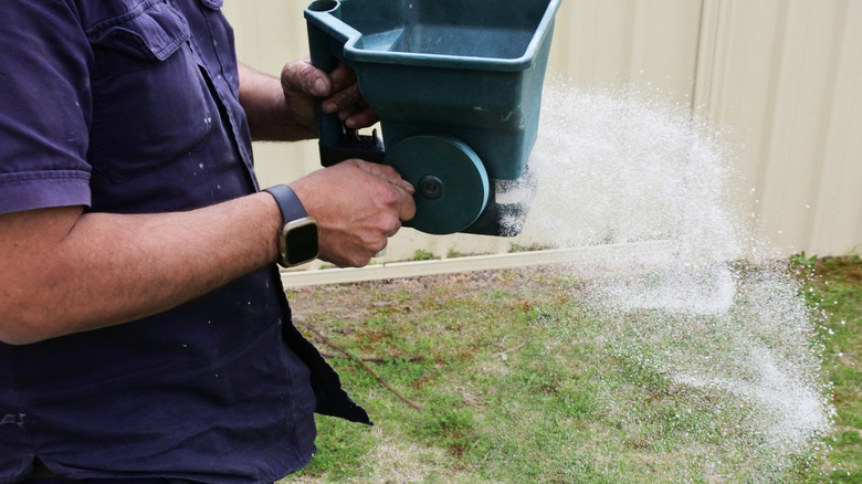 broadcasting fertilizer with a handheld spreader