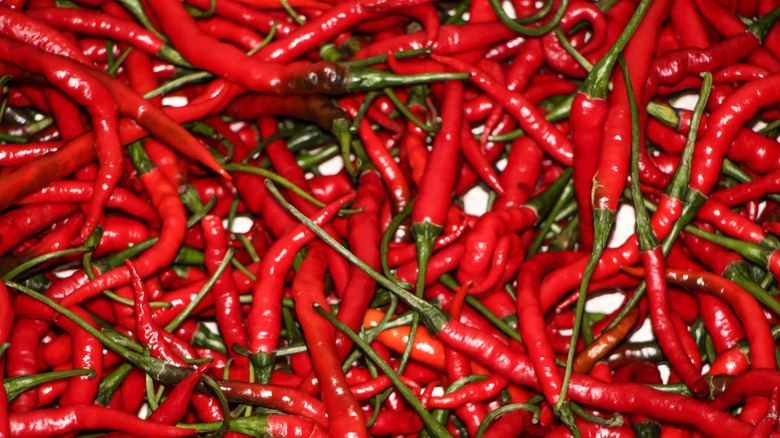 A background composed of whole, bright red cayenne peppers