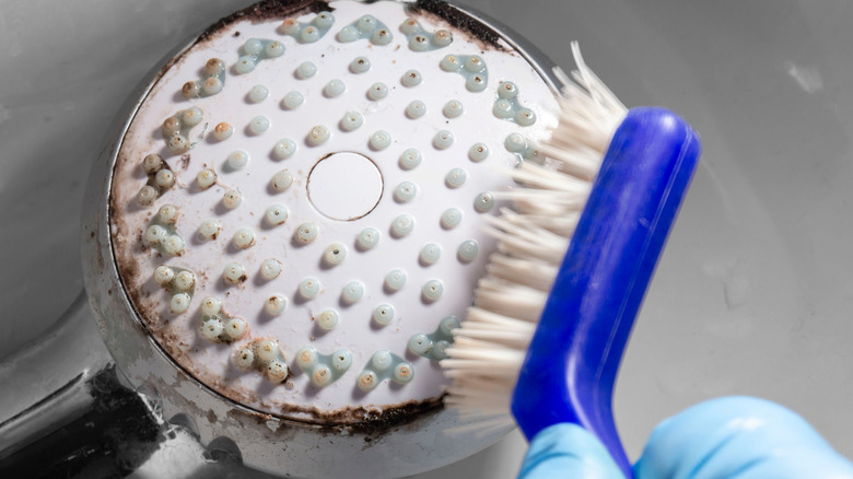 Cleaning limescale from a showerhead