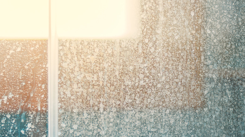 Hard water stains on glass shower doors
