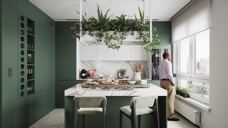 House plants and ivy on top of white kitchen cabinets