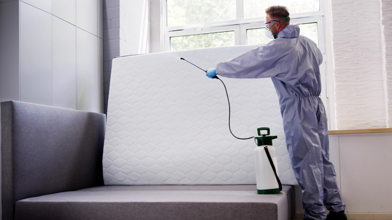 An exterminator treating a mattress for bed bugs by a window