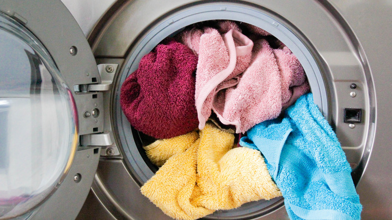 Non-matching right- and left-hand screw patterns and recesses indicate that a washer's door is not reversible