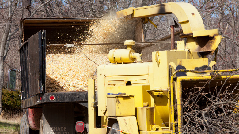 Wood chipping machine being emptied into truck