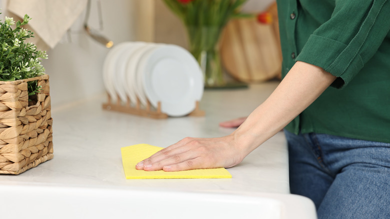 Person wiping kitchen counter