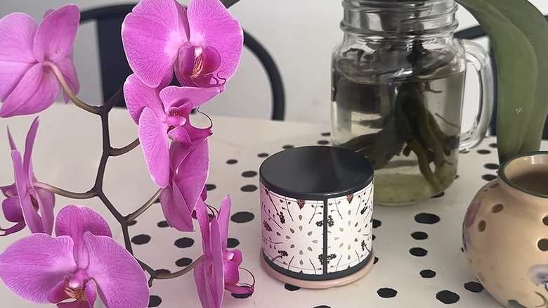 Closeup of an orchid growing in water