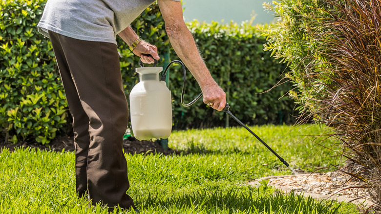 Man applying weed killer with a sprayer