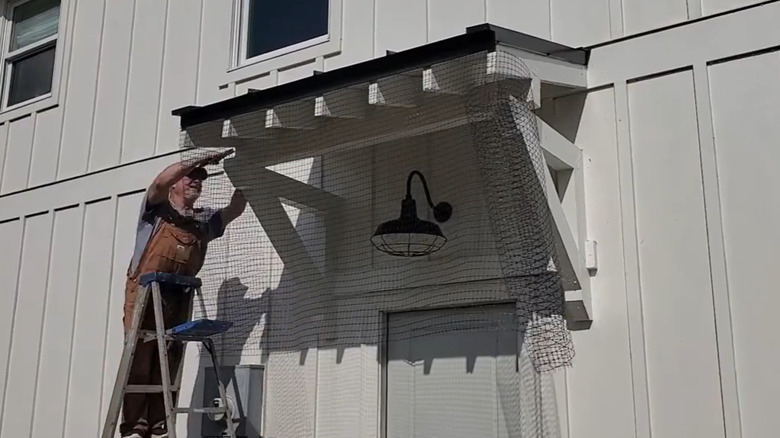 Man installing bird netting around a porch light.