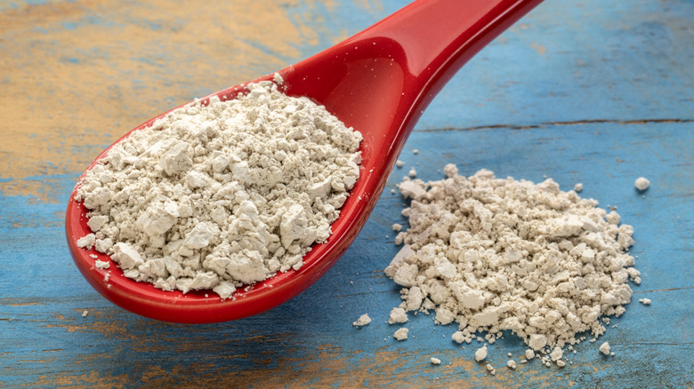A spoonful of diatomaceous earth