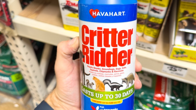 Person holding container of Critter Ridder in front of store shelf