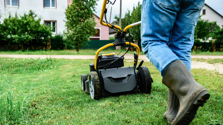 Person mowing the lawn with a push mower