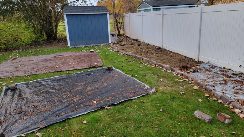 lawn being smothered by tarps