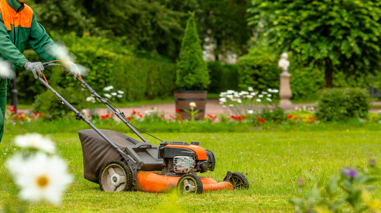 Person pushing lawn mower in yard