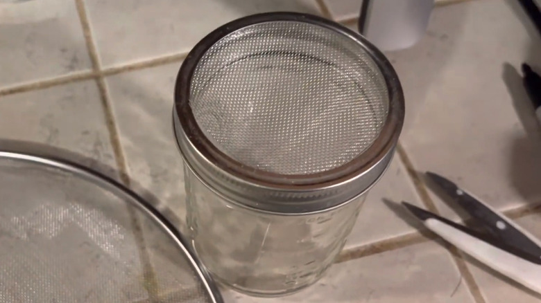 DIY Strainer lid on a Mason jar