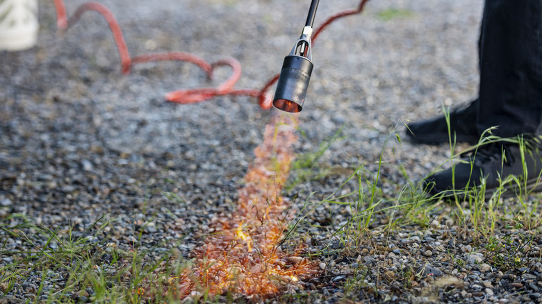burning weeds in a gravel driveway
