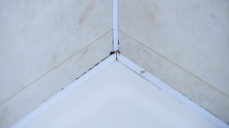 old moldy caulk in shower