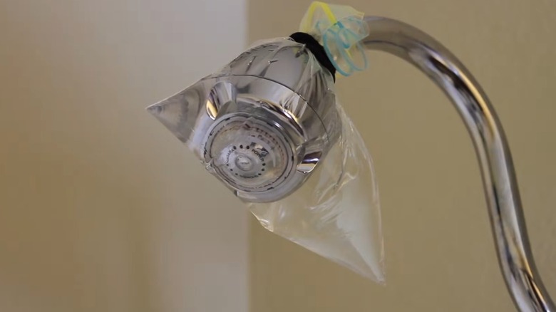 A vinegar-filled plastic bag tied around a shower head